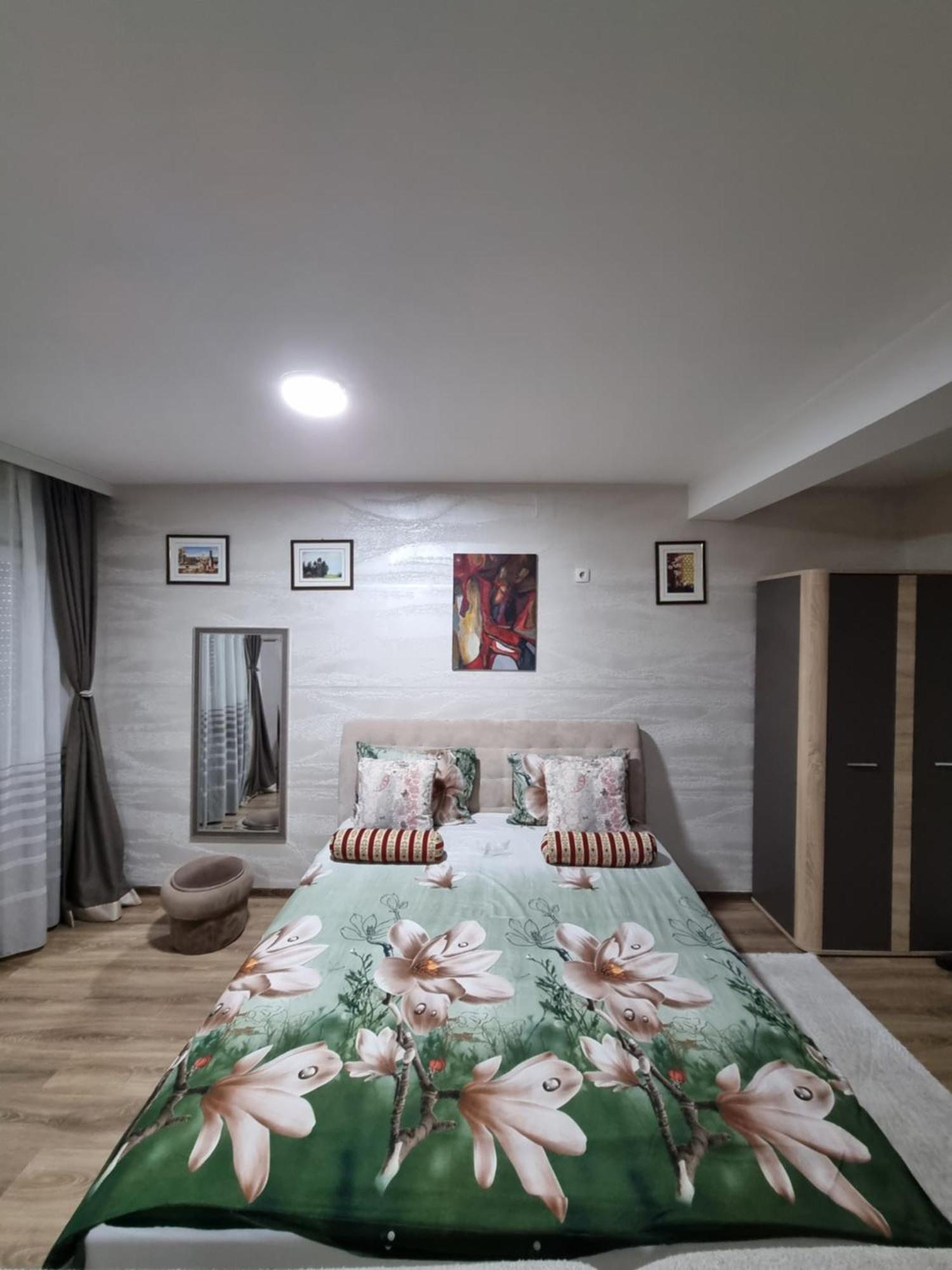 Avio Apartmani 2018 ノヴィ・パザル エクステリア 写真